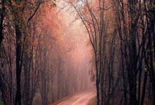 CBA:终结连败 宁波男篮101-93江苏男篮.