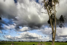 bwin在线：[NBA]太阳多点开花遭失利 灰熊关键时刻取胜局.