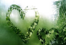 bwin在线:3-1!前国乒女将非洲夺冠,女团决赛独得两分,赛后疯狂庆祝.